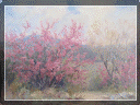 country%20store%20gallery007004.gif