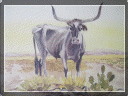 country%20store%20gallery007005.gif
