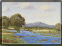 country%20store%20gallery007007.gif