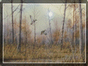 country%20store%20gallery007013.gif