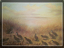 country%20store%20gallery008004.gif