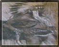 country%20store%20gallery008005.gif