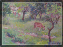 country%20store%20gallery008006.gif