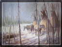 country%20store%20gallery008008.gif