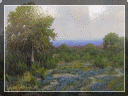 country%20store%20gallery009017.gif